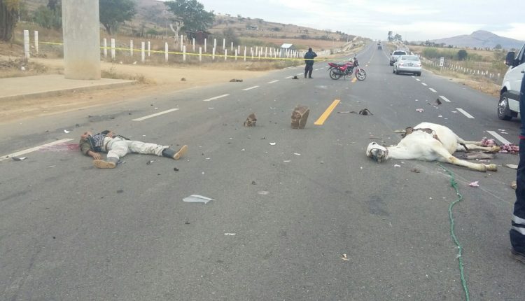 ocotlán muerto (9)